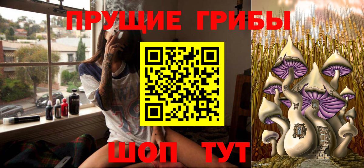 Псилоцибиновые грибы Cubensis Трёхгорный