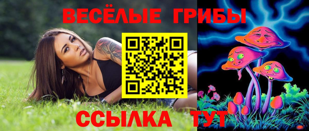 Галлюциногенные грибы Psilocybine cubensis  Вход с VPN  Трёхгорный  Галлюциногенные грибы ЛСД 